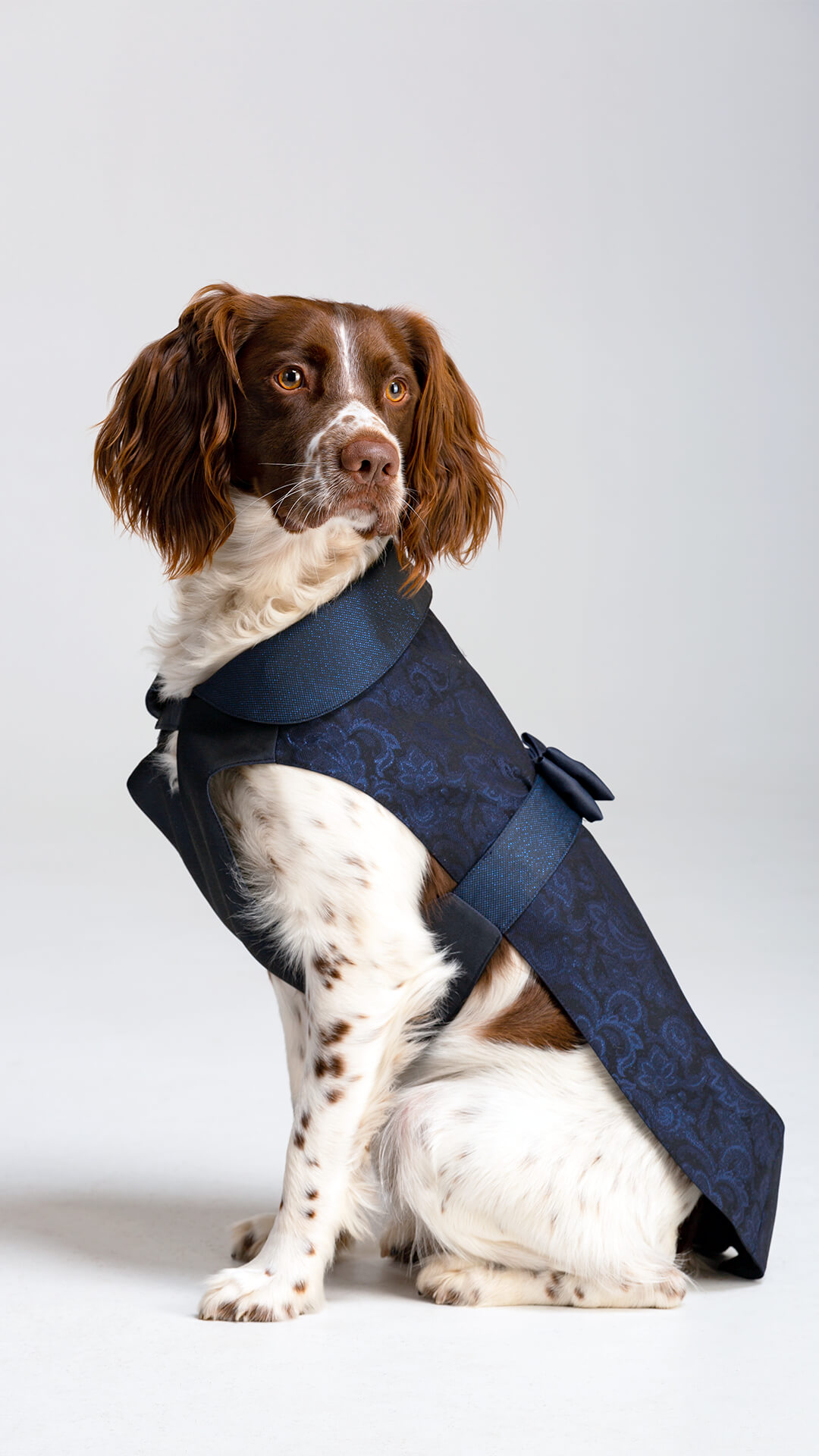 Versali pets - abbigliamento cerimonia per cani e animali domestici 2023_4