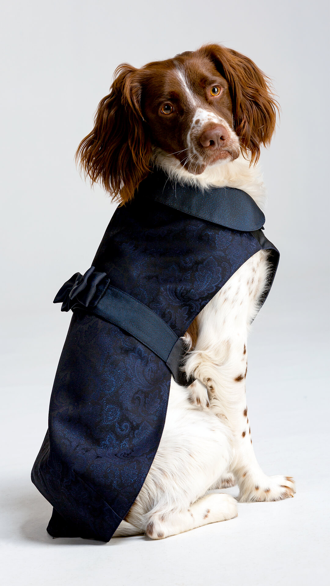 Versali pets - abbigliamento cerimonia per cani e animali domestici 2023_4