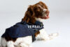 Versali pets - abbigliamento cerimonia per cani e animali domestici_andrea versali cerimonia 2023