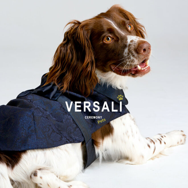 Versali pets - abbigliamento cerimonia per cani e animali domestici_andrea versali cerimonia 2023
