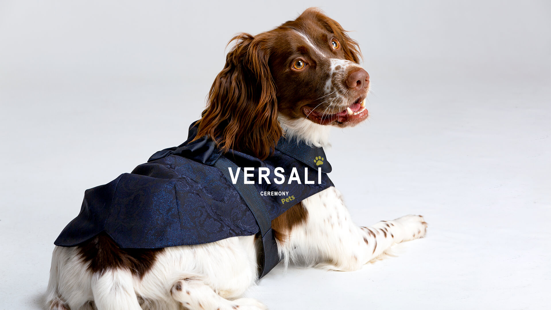 Versali pets - abbigliamento cerimonia per cani e animali domestici_andrea versali cerimonia 2023